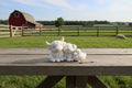 Farm Animal Trio Figurine – Hairy Cow, Pig & Duck